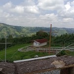 Finca en SANTA ROSA DE CABAL, VEREDAEL CEDRAL (Ref: 12334) - 8