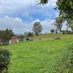 Lote en CIRCASIA, AUTOPISTA DEL CAFE (Ref: 12196) - 12