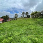 Lote en CIRCASIA, AUTOPISTA DEL CAFE (Ref: 12196) - 15