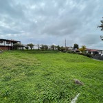Lote en CIRCASIA, AUTOPISTA DEL CAFE (Ref: 12196) - 11
