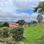 Lote en CIRCASIA, AUTOPISTA DEL CAFE (Ref: 12196) - 20