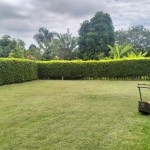 Casa campestre en ARMENIA, VEREDA PUERTO ESPEJO (Ref: 12822) - 7
