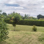 Casa campestre en ARMENIA, VEREDA PUERTO ESPEJO (Ref: 12822) - 8
