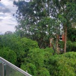 APARTAMENTO PARA VENTA EN ARMENIA - 9