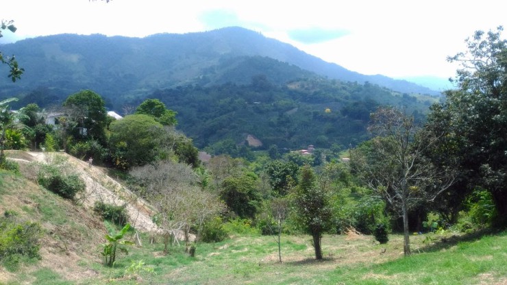 LOTE CAMPESTRE PARA VENTA EN ARMENIA