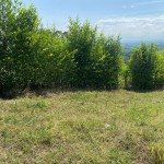 Lote en PUEBLO TAPAO, VIA PUEBLO TAPAO – MONTENEGRO (Ref: 12664) - 3