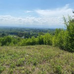 Lote en PUEBLO TAPAO, VIA PUEBLO TAPAO – MONTENEGRO (Ref: 12664) - 2