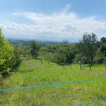 Lote en PUEBLO TAPAO, VIA PUEBLO TAPAO – MONTENEGRO (Ref: 12664) - 6