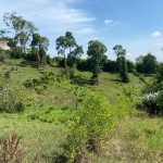 Lote en PUEBLO TAPAO, VIA PUEBLO TAPAO – MONTENEGRO (Ref: 12664) - 20
