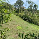 Lote en PUEBLO TAPAO, VIA PUEBLO TAPAO – MONTENEGRO (Ref: 12664) - 15