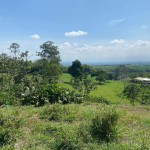 Lote en PUEBLO TAPAO, VIA PUEBLO TAPAO – MONTENEGRO (Ref: 12664) - 12