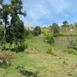 Lote en PUEBLO TAPAO, VIA PUEBLO TAPAO – MONTENEGRO (Ref: 12664) - 7