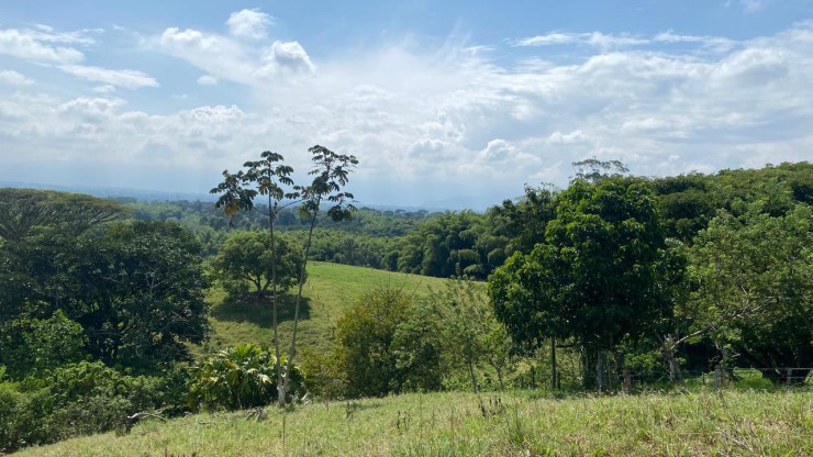 LOTE CAMPESTRE PARA VENTA EN ARMENIA