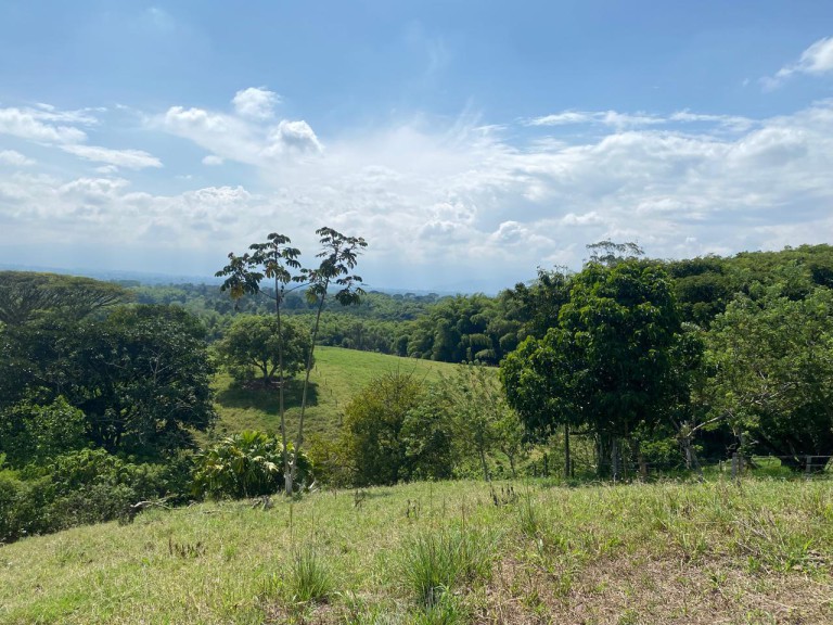 Lote en PUEBLO TAPAO, VIA PUEBLO TAPAO – MONTENEGRO (Ref: 12664)
