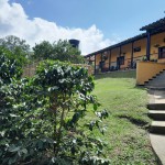Finca en FILANDIA, VEREDA CONGAL ALTO (Ref: 12689) - 1