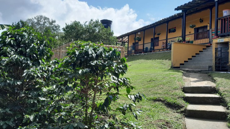 FINCA PARA VENTA EN FILANDIA