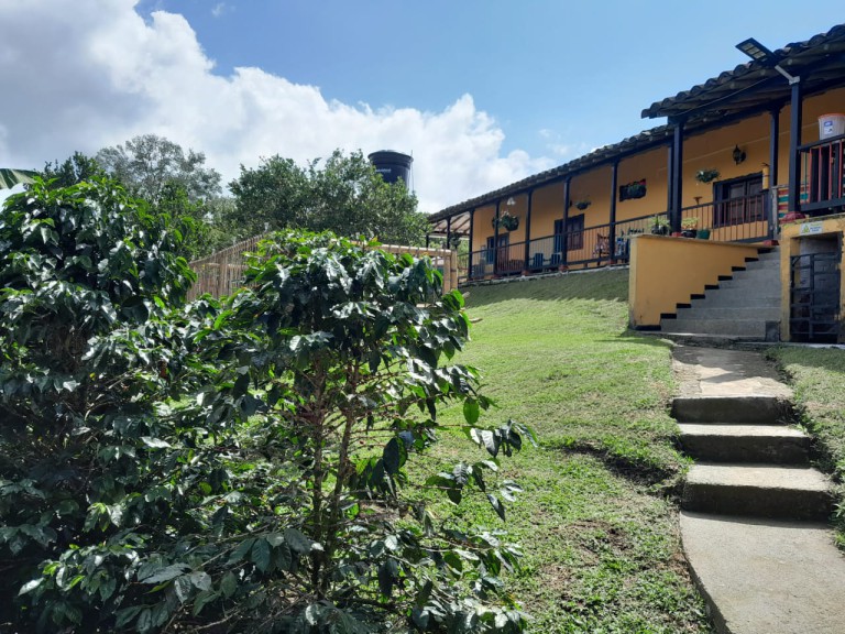 Finca en FILANDIA, VEREDA CONGAL ALTO (Ref: 12689)
