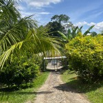 Casa campestre en PUEBLO TAPAO, VEREDA LA CEIBA (Ref: 12742) - 7