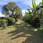 Finca en ARMENIA, VEREDA MURILLO (Ref: 12763) - 6