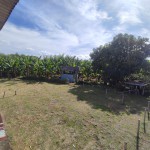 Finca en ARMENIA, VEREDA MURILLO (Ref: 12763) - 25