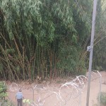 APARTAMENTO PARA VENTA EN ARMENIA - 18