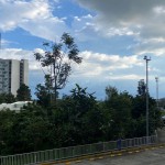 Apartamento en ARMENIA, PUERTO ESPEJO (Ref: 12777) - 3