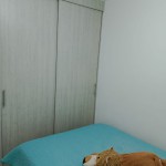 APARTAMENTO PARA VENTA EN ARMENIA - 17
