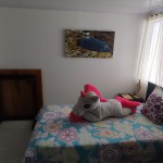 APARTAMENTO PARA VENTA EN ARMENIA - 14