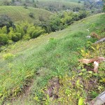 Finca en FILANDIA, VEREDA EL CONGAL (Ref: 12320) - 15