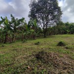 LOTE CAMPESTRE PARA VENTA EN ARMENIA - 10