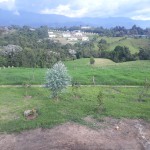 Finca en CIRCASIA, AUTOPISTA DEL CAFE (Ref: 12307) - 8