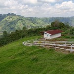 Finca en SANTA ROSA DE CABAL, VEREDAEL CEDRAL (Ref: 12334) - 16