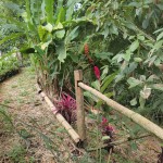 Lote en ARMENIA, VIA PUEBLO TAPAO (Ref: 12430) - 16