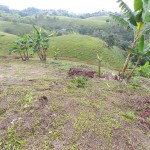 Finca en FILANDIA, VEREDA EL CONGAL (Ref: 12320) - 14