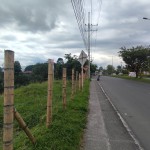 Lote en ARMENIA, AVENIDA CENTENARIO (Ref: 12067) - 7