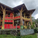 LOTE CAMPESTRE PARA VENTA EN ARMENIA - 9