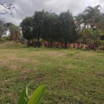 LOTE CAMPESTRE PARA VENTA EN ARMENIA - 8