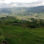Finca en SANTA ROSA DE CABAL, VEREDAEL CEDRAL (Ref: 12334) - 15