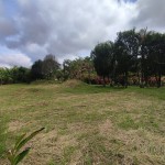 LOTE CAMPESTRE PARA VENTA EN ARMENIA - 13