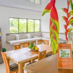 FINCA PARA VENTA EN ARMENIA - 20