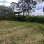 LOTE CAMPESTRE PARA VENTA EN ARMENIA - 11