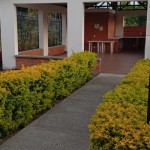 APARTAMENTO PARA VENTA EN ARMENIA - 22