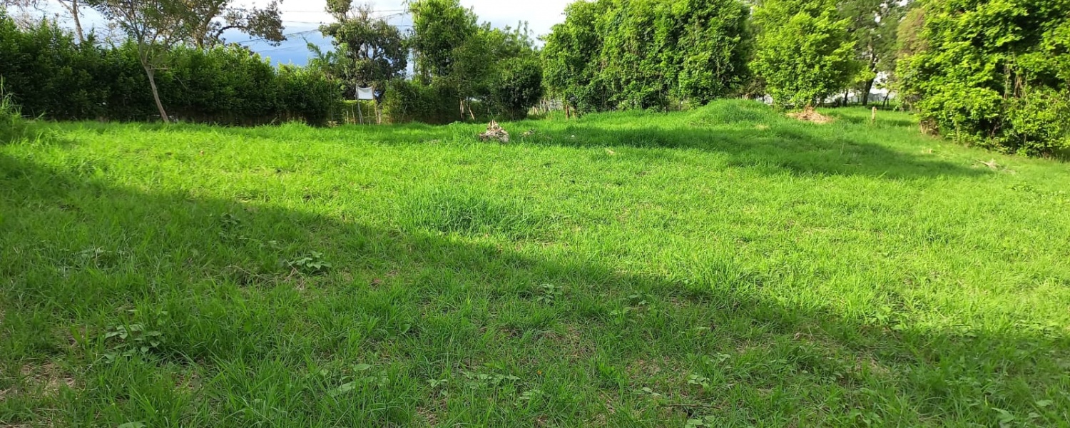 Lote,Venta,2247