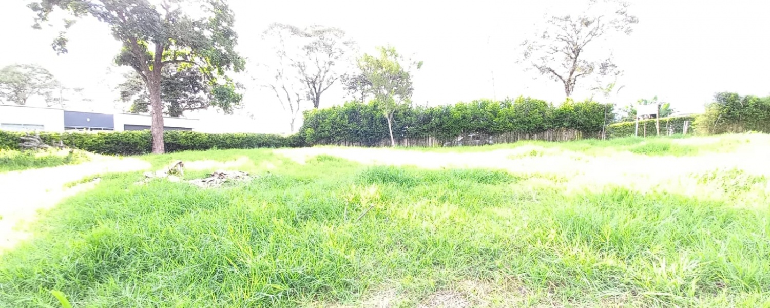 Lote,Venta,2247
