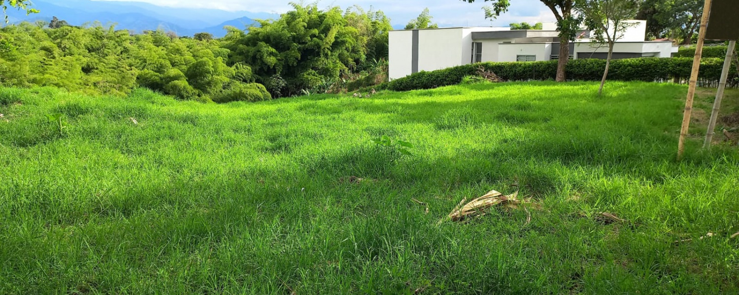 Lote,Venta,2247