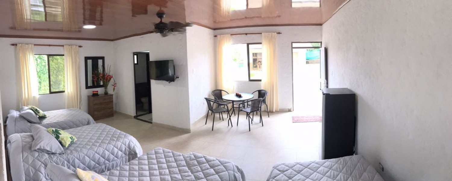 10 Bedrooms Bedrooms, ,9 BathroomsBathrooms,Finca,Venta,2393
