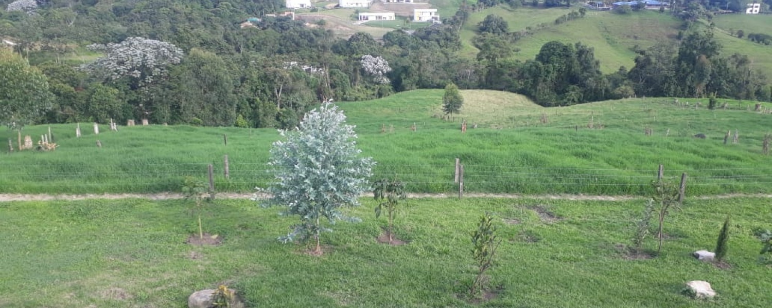 3 Bedrooms Bedrooms, ,2 BathroomsBathrooms,Finca,Venta,2422