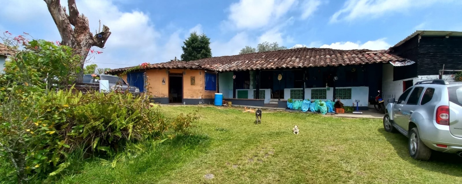 3 Bedrooms Bedrooms, ,1 BañoBathrooms,Finca,Venta,2435