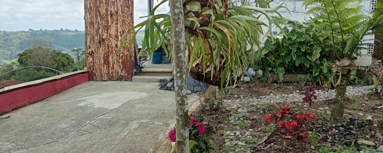 5 Bedrooms Bedrooms, ,2 BathroomsBathrooms,Finca,Venta,2442