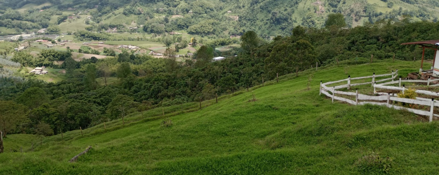 5 Bedrooms Bedrooms, ,2 BathroomsBathrooms,Finca,Venta,2442